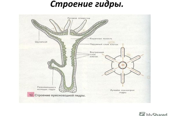 Кракен без впн