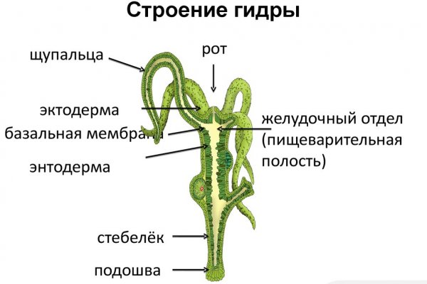 Kraken ссылка онион