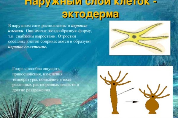 Что такое кракен маркетплейс