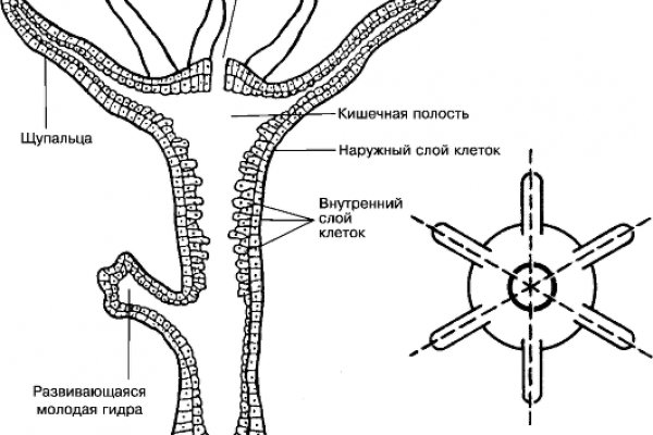Аналог hydra